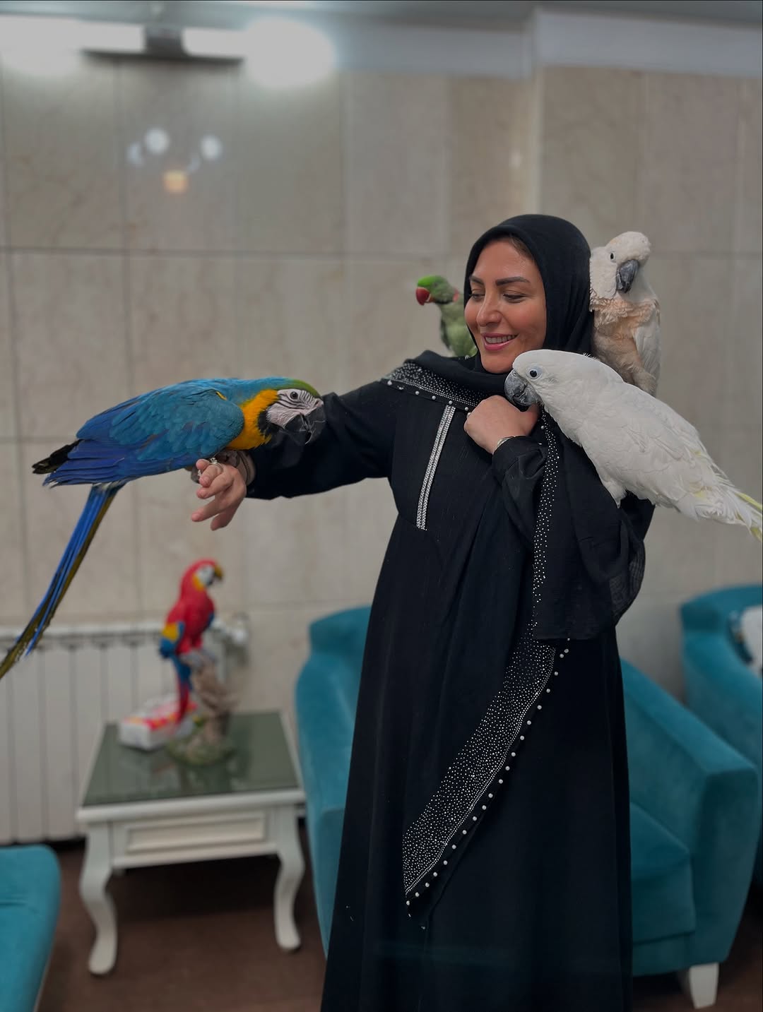 المیرا