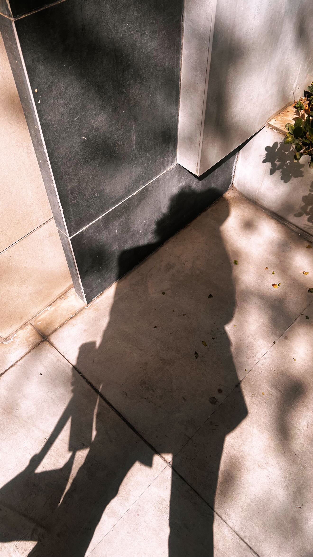 photo_2025-11-12_08-32-10