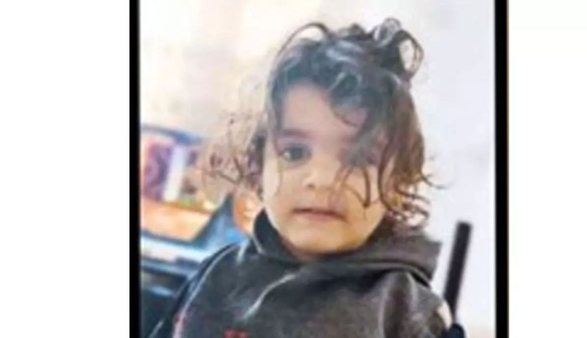 ربودن آوا دو ساله در شیراز/ چه بر سر دختر کوچولو آمد؟ + عکس