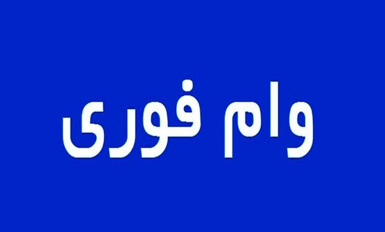شرایط وام فوری 1403 برای بانوان اعلام شد /وام ویژه زنان خانه دار +جزئیات
