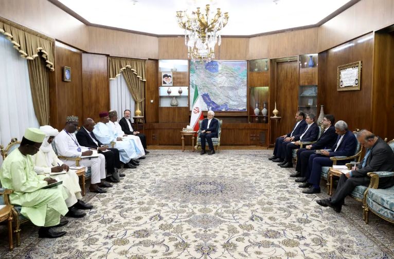 تاکید ایران و نیجر بر گسترش همکاری در نفت، کشاورزی و انرژی