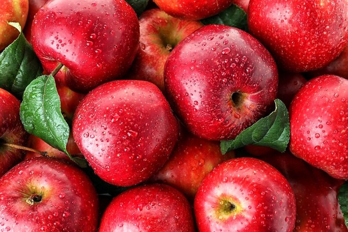 
این میوه برای درمان 36 بیماری مفید است!
