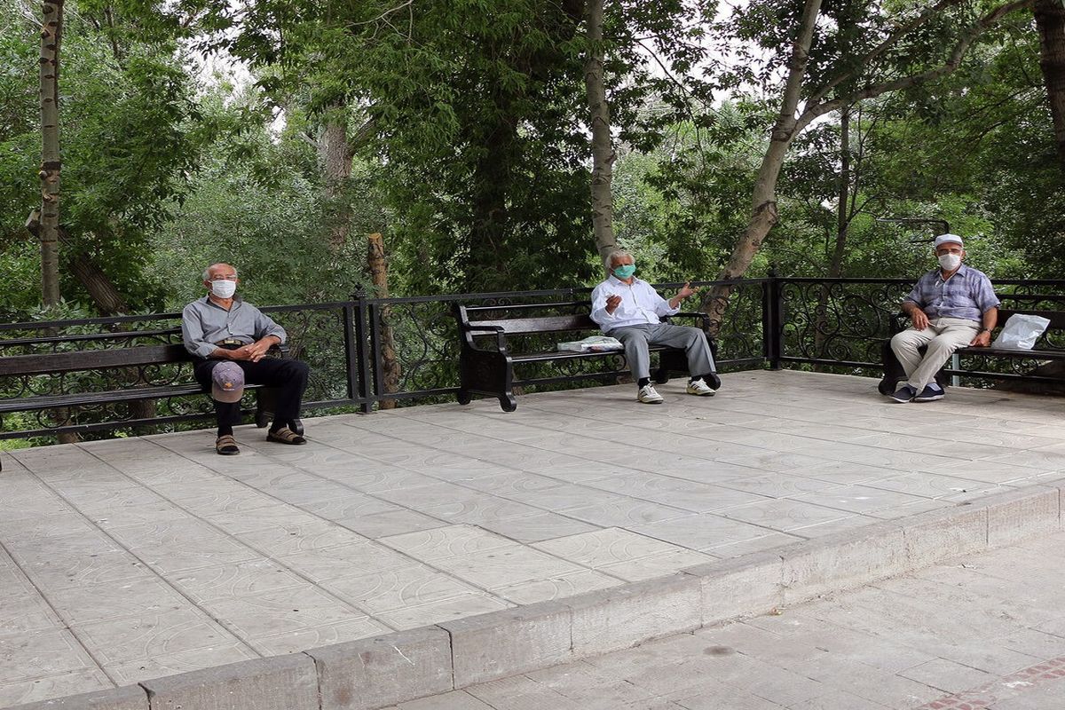 خبر خوش رئیس سازمان برنامه و بودجه برای بازنشستگان / واریزی ویژه در دهه فجر