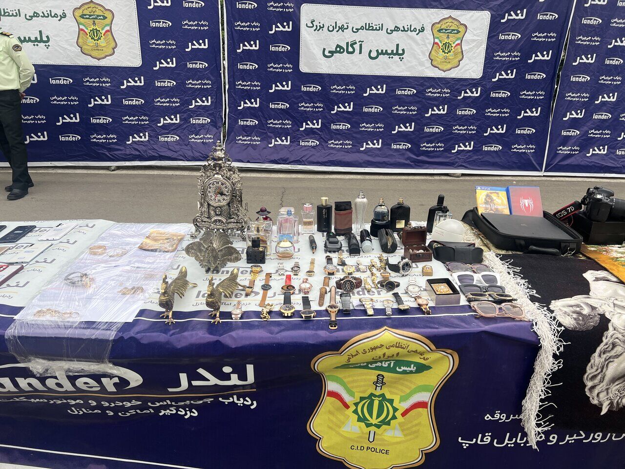 سرقت‌های عجیب و باورنکردنی اژدهای ۷۰ ساله 