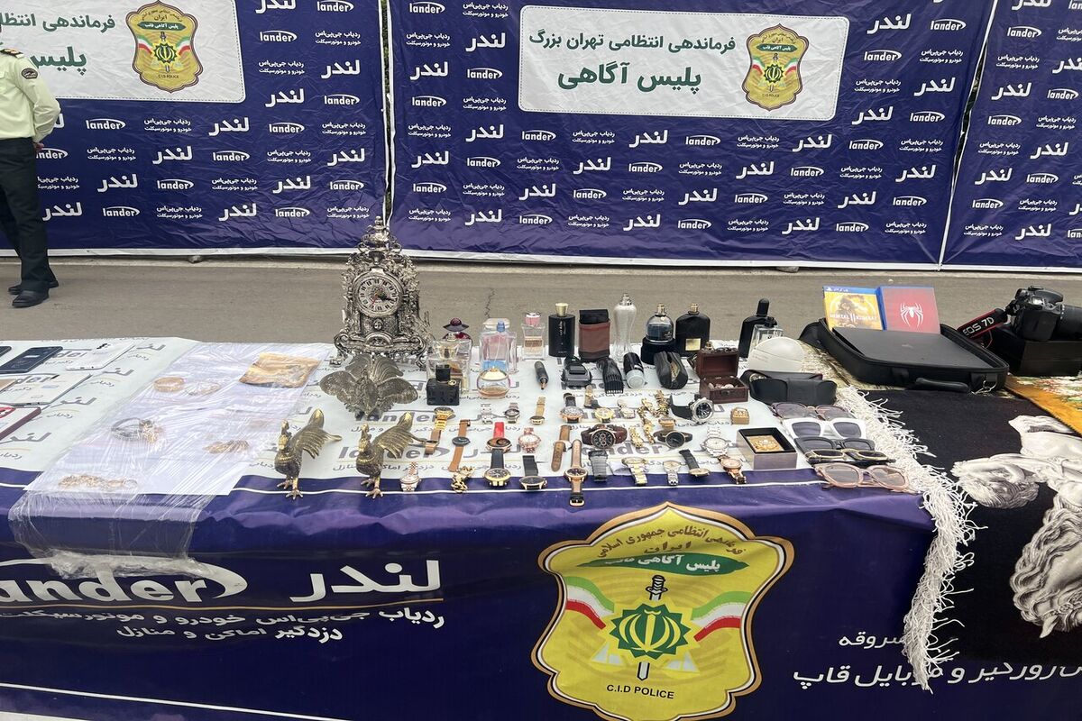 سرقت‌های عجیب و باورنکردنی اژدهای ۷۰ ساله 