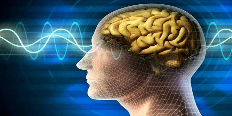 یازده حقیقت شگفت‌انگیز درباره‌ مغز