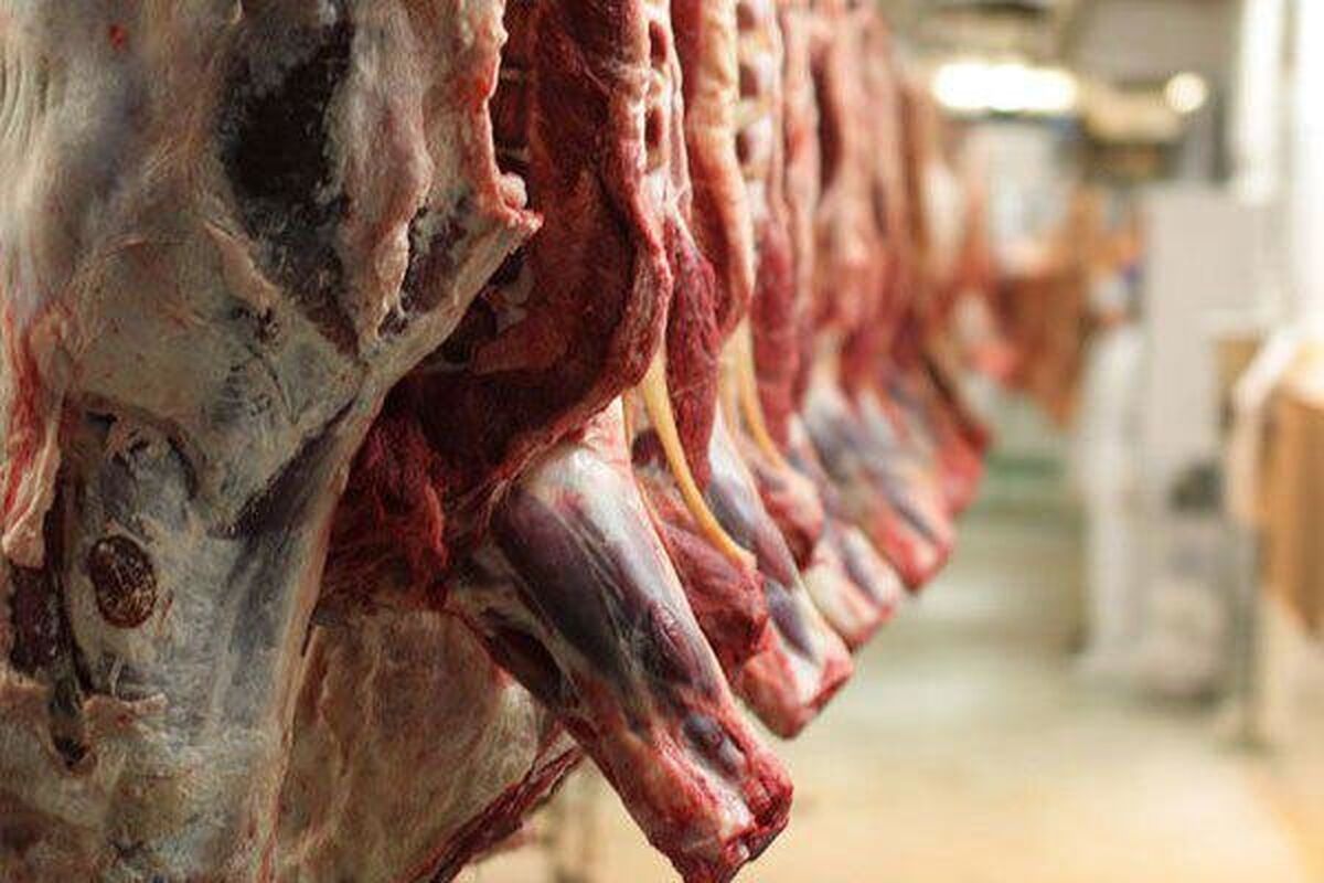 گوشت ۸۰ هزار تومانی خریدار ندارد