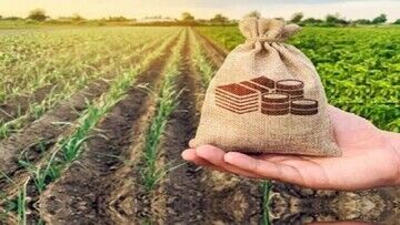 پوشش بیمه جدید برای این گروه از افراد همراه با جزییات 