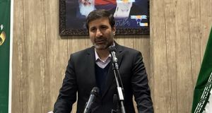 شورای نگهبان وارد حیطه کارشناسی نمی‌شود