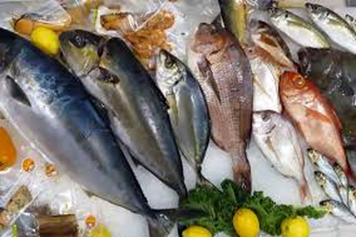 قیمت ماهی امروز دوشنبه ۲۵ اردیبهشت ۱۴۰۲