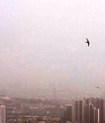 مدارس و ادارات تهران فردا سه‌شنبه ۲۰ آبان ۱۴۰۴ تعطیل می شود؟/۱۳ ایستگاه در وضعیت قرمز