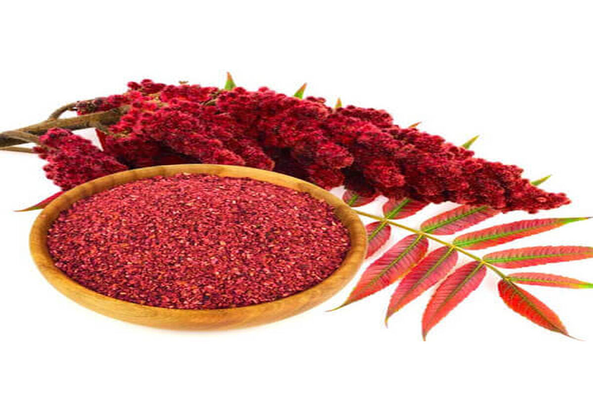خواص شگفت‌انگیز و بی‌نظیر «سماق» برای سلامتی