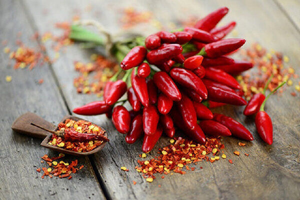 کاهش درد افراد دیابتی با ادویه