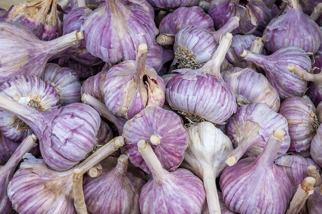 فواید و مضرات مصرف سیر 
