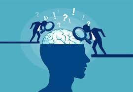  این خوراکی ها از آلزایمر پیشگیری می کنند