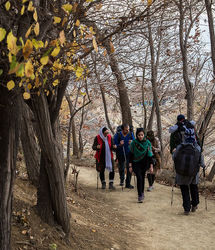 احداث سرویس بهداشتی در این مکان برای تهران دردسر شد!