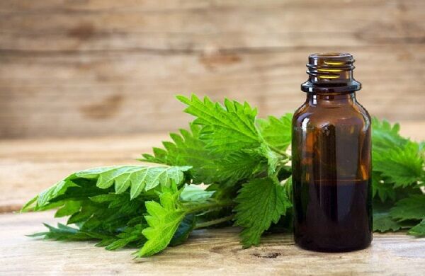 فواید عرق گزنه در کاهش آلرژی و التهاب
