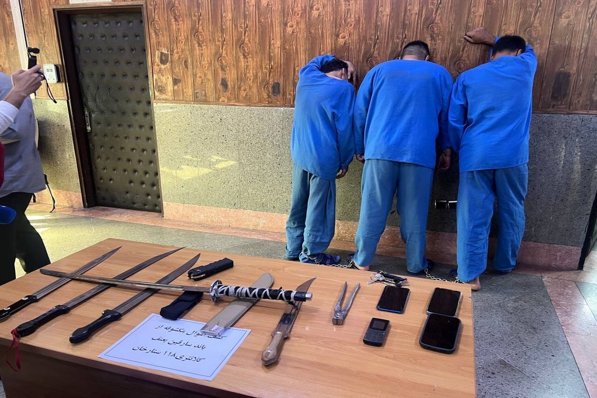 دستگیری سارقان شمشیر به دست ستارخان و گیشا/ توصیههای ضد سرقت از زبان «شهرام گراس»