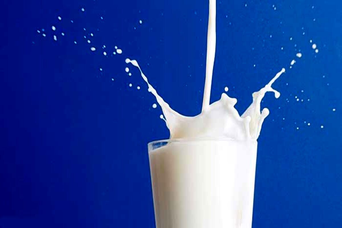 بالاخره شیر برای پوکی استخوان خوب است یا بد؟
