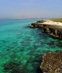 اقامت در جزیره مارها، ممنوع!