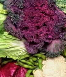 بایدها و نبایدهای مصرف سبزیجات و مشکلات گوارشی