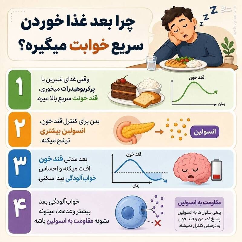 علت خواب آلودگی بعد از خوردن غذا+اینفوگرافیک