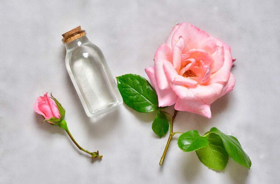 قیمت انواع گلاب در بازار +جدول