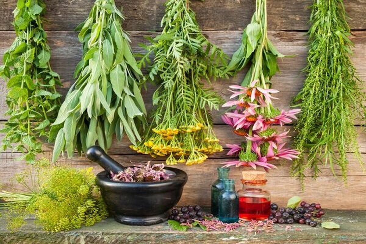 رسیدن به لاغری با استفاده از مواد گیاهی