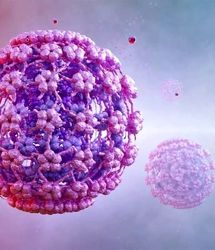 پیک بعدی این بیماری مهلک در بهمن‌ماه قطعی است