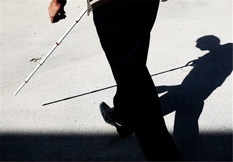 این سگ 6 پا به داد نابینایان می‌رسد ! +ببینید