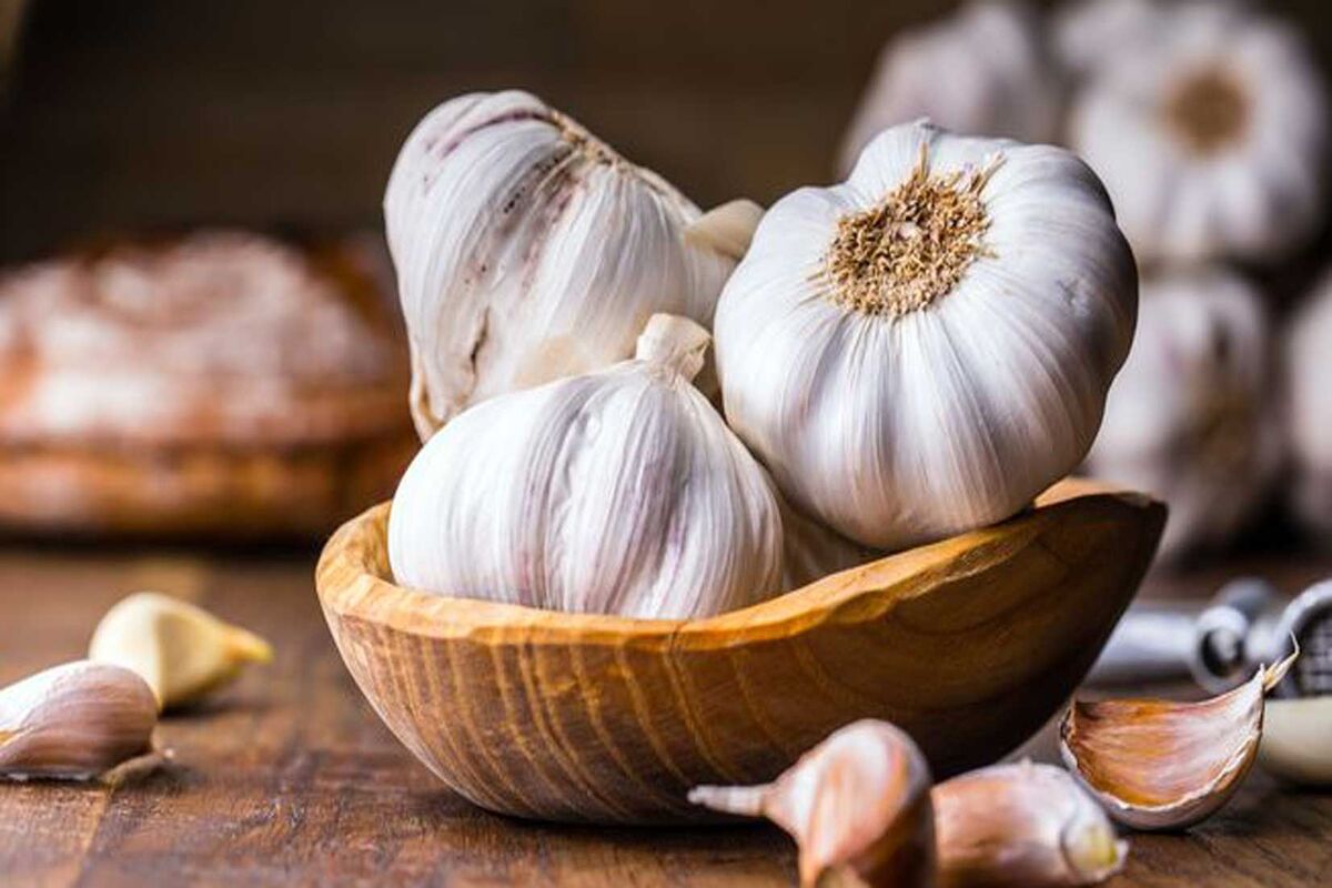 مصرف سیر برای این افراد ممنوع است!