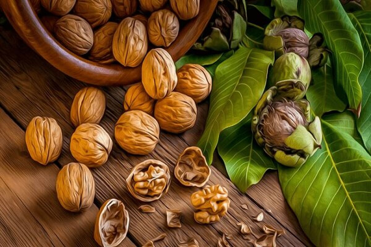 آشنایی با خواص جذاب گردو