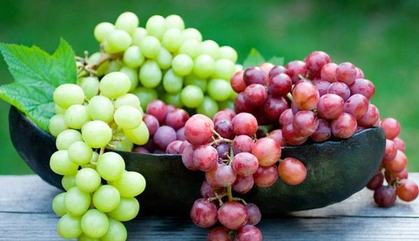 این میوه اکسیر جوانی دارد
