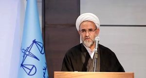 آمریکا عامل نقض حقوق بشر و حامی اسرائیل است