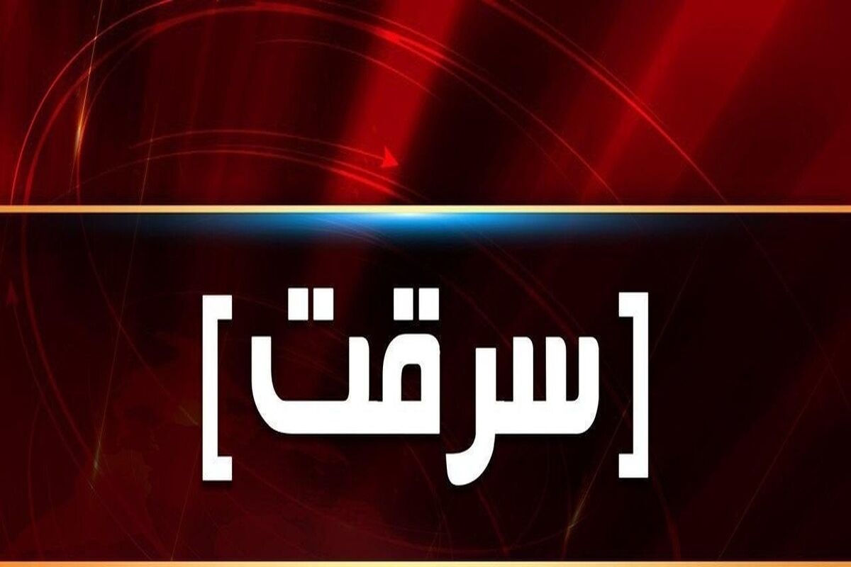 سرقت وحشیانه از یک زن جوان در محله سعادت آباد تهران/ببینید