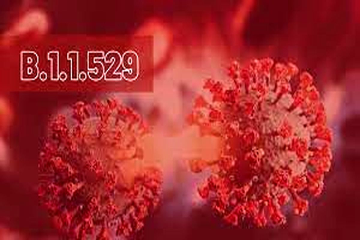 اعلام زمان ورود کرونای خطرناک آفریقایی به کشور