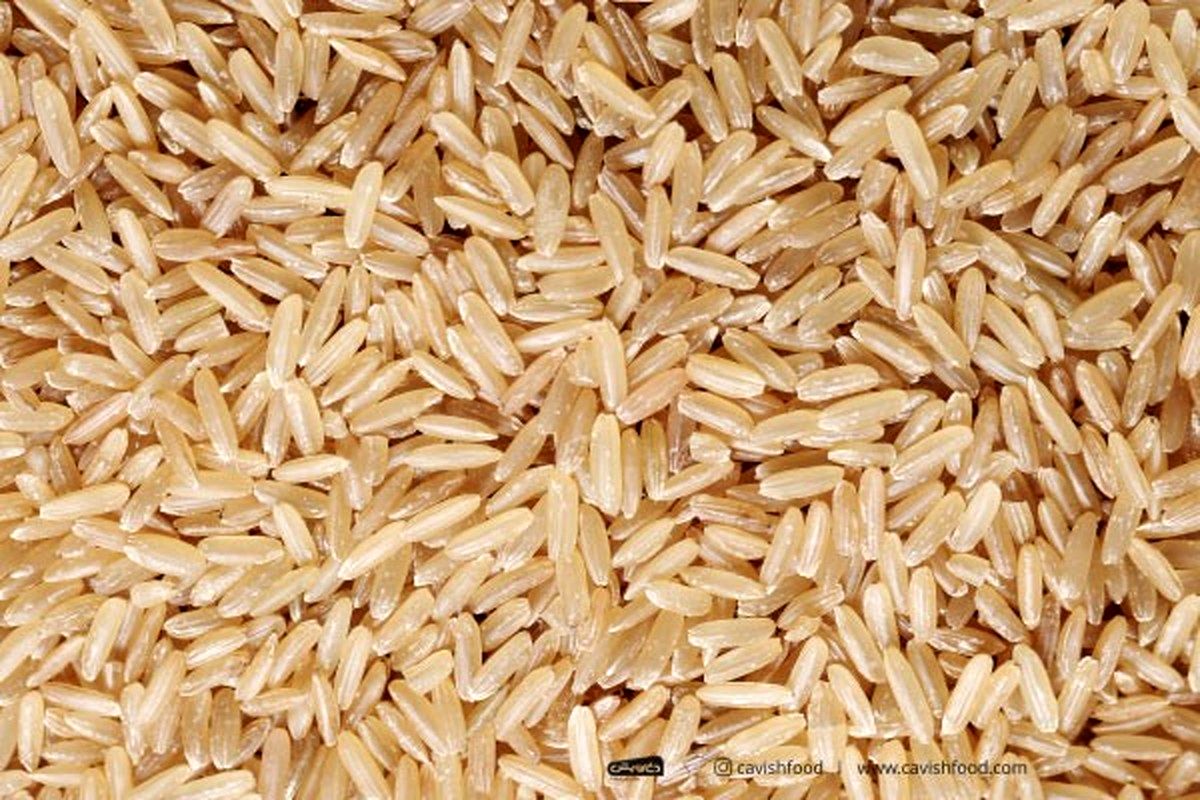 برنج دوباره گران شد