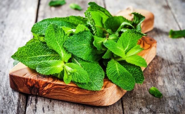 گیاهی که دفع‌کننده سنگ کلیه است!