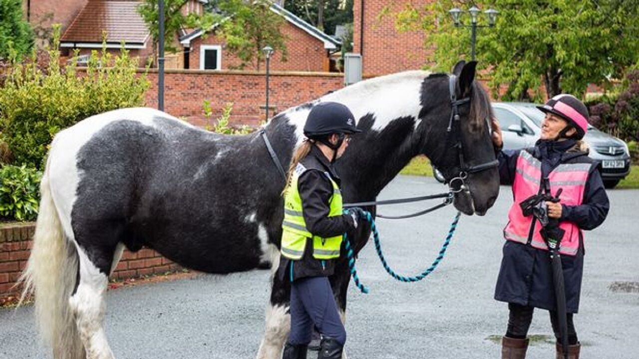 سورپرایز بیمار در حال مرگ در بیمارستان+ تصاویر