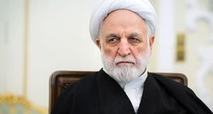 محسنی‌ اژه‌ای: زهی خیال باطل!