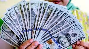 قیمت دلار، یورو و درهم/ صرافی ملی امروز جمعه ۱۹ اسفند باز است