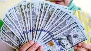 شرایط استفاده از سهمیه ارز ۵۰۰۰ یورویی اعلام شد