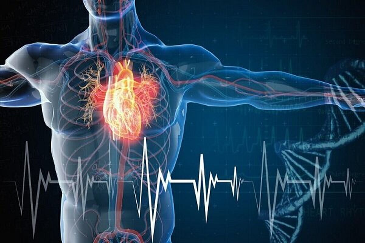 پیشگیری از بیماری‌های عروقی با اتصال پاها به زمین