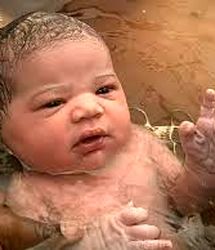 دعوت شرم‌آور از مردم برای تماشای مراسم زایمان طبیعی!+ عکس