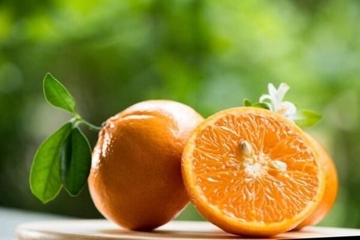 آشنایی با خواص و کاربردهای آب نارنج 