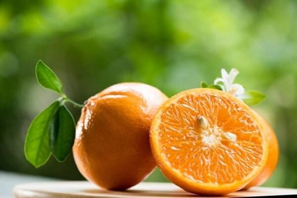 آشنایی با خواص و کاربردهای آب نارنج 