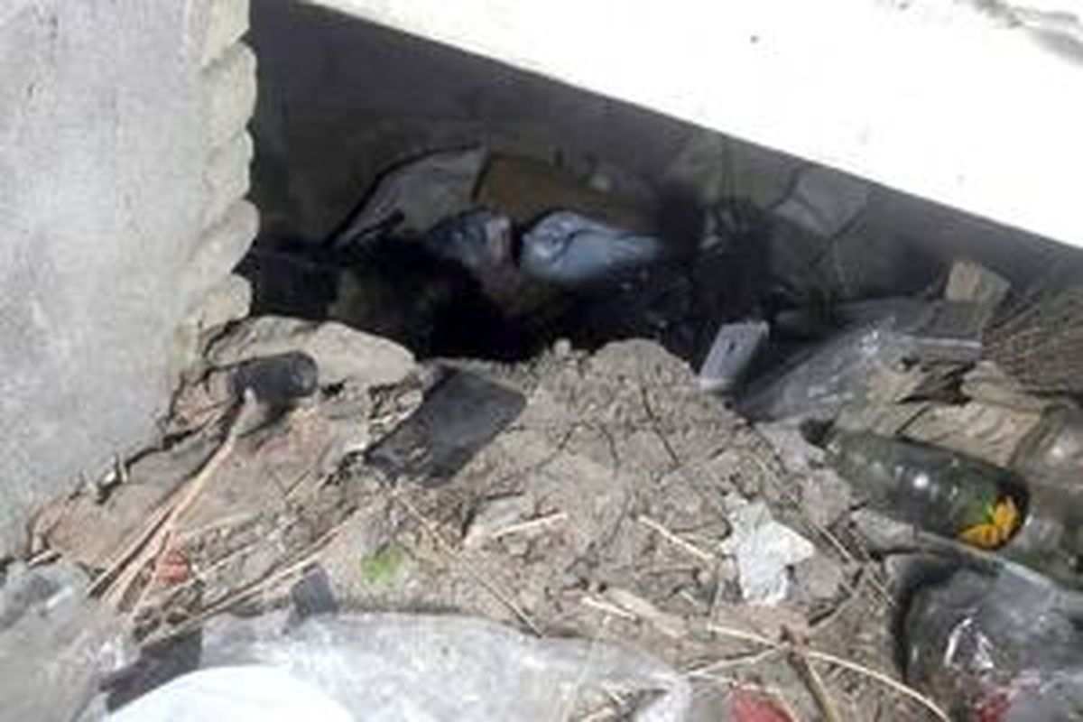 قتل هولناک زن جوان در منزل+عکس