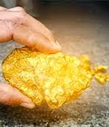 پاکبانی که 3 میلیارد طلا پیدا کرد:بار اولم نبود!