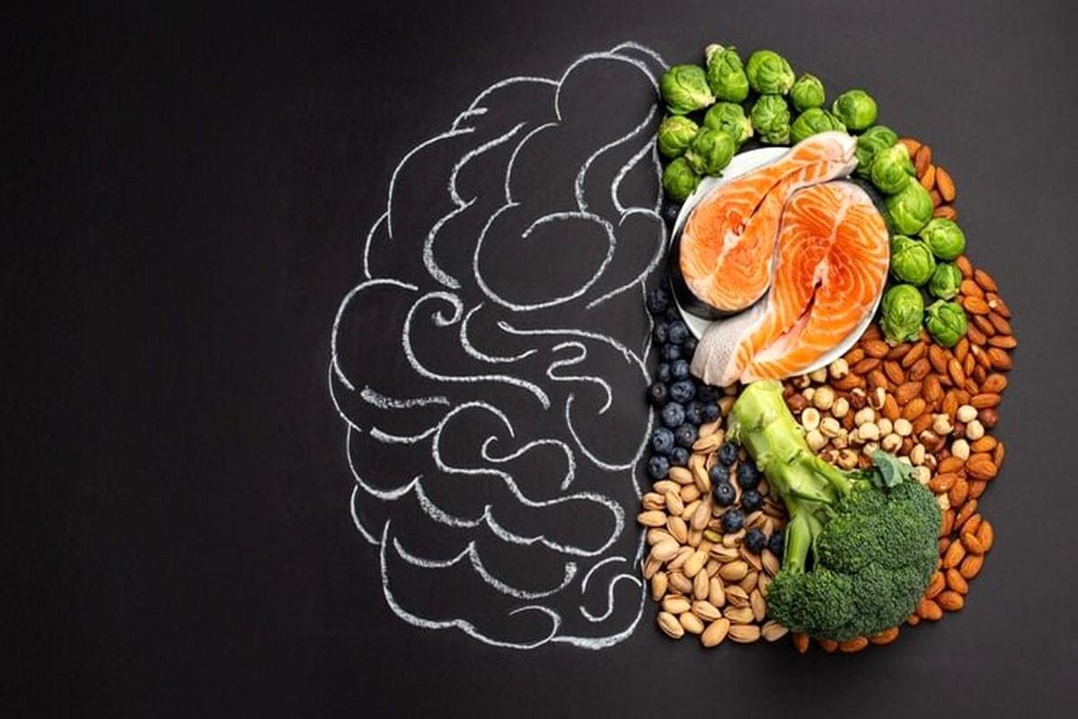 مواد غذایی مفید برای حفظ سلامت و حجم مغز