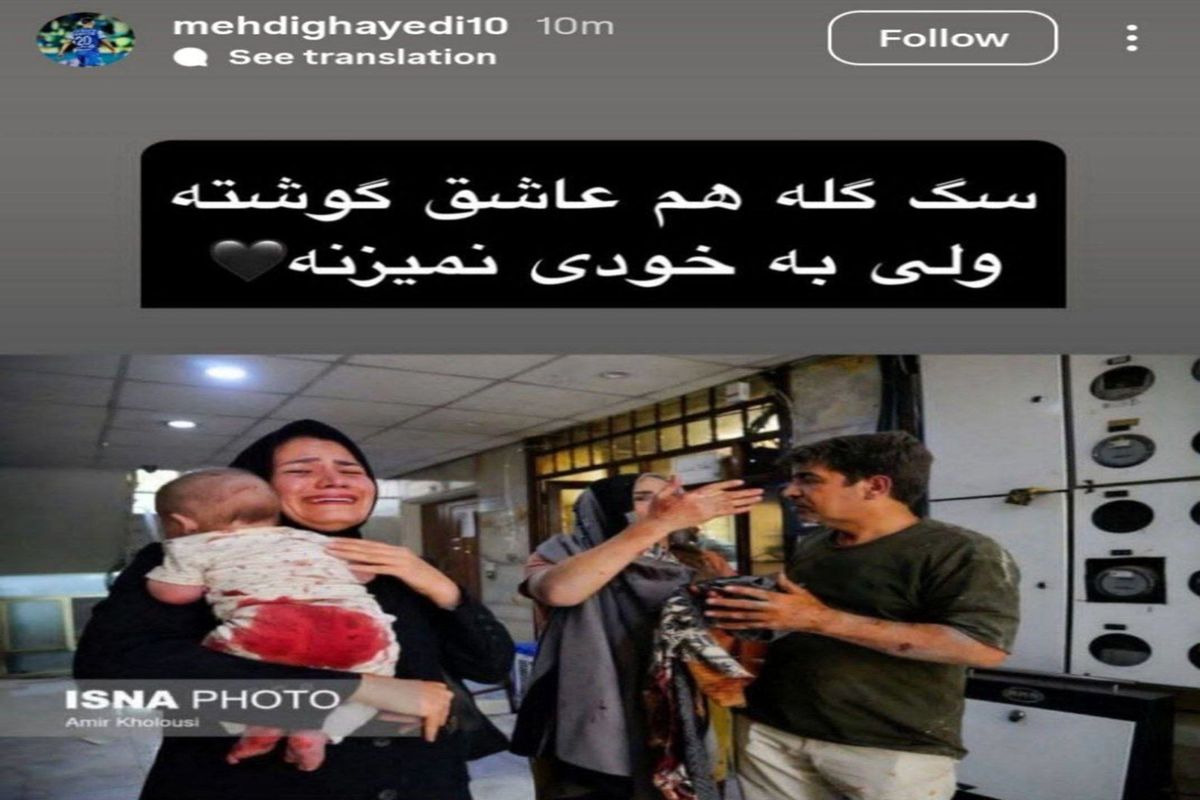 استوری معنادار قائدی: سگه گله به خودی نمی زنه!